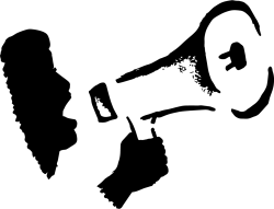 Logo for Megaphone Technology Consulting partner