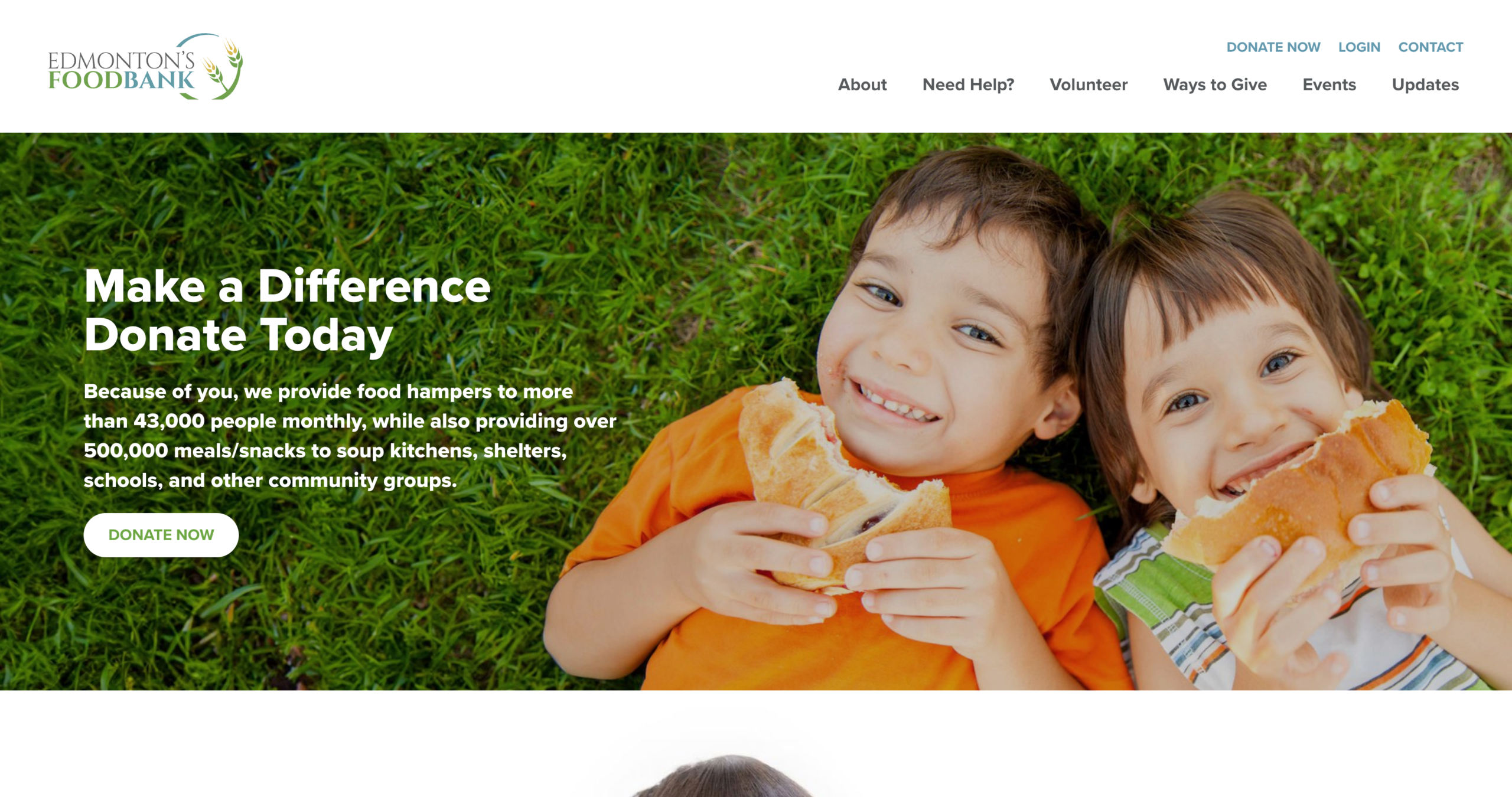 Homepage Screenshot of Edmontons's Foodbank