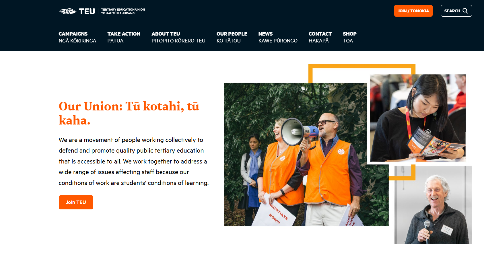 Screenshot of TEU's website